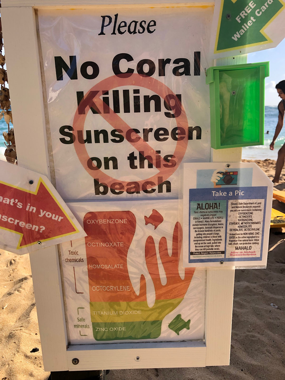 reef safe sunscreen drugstore