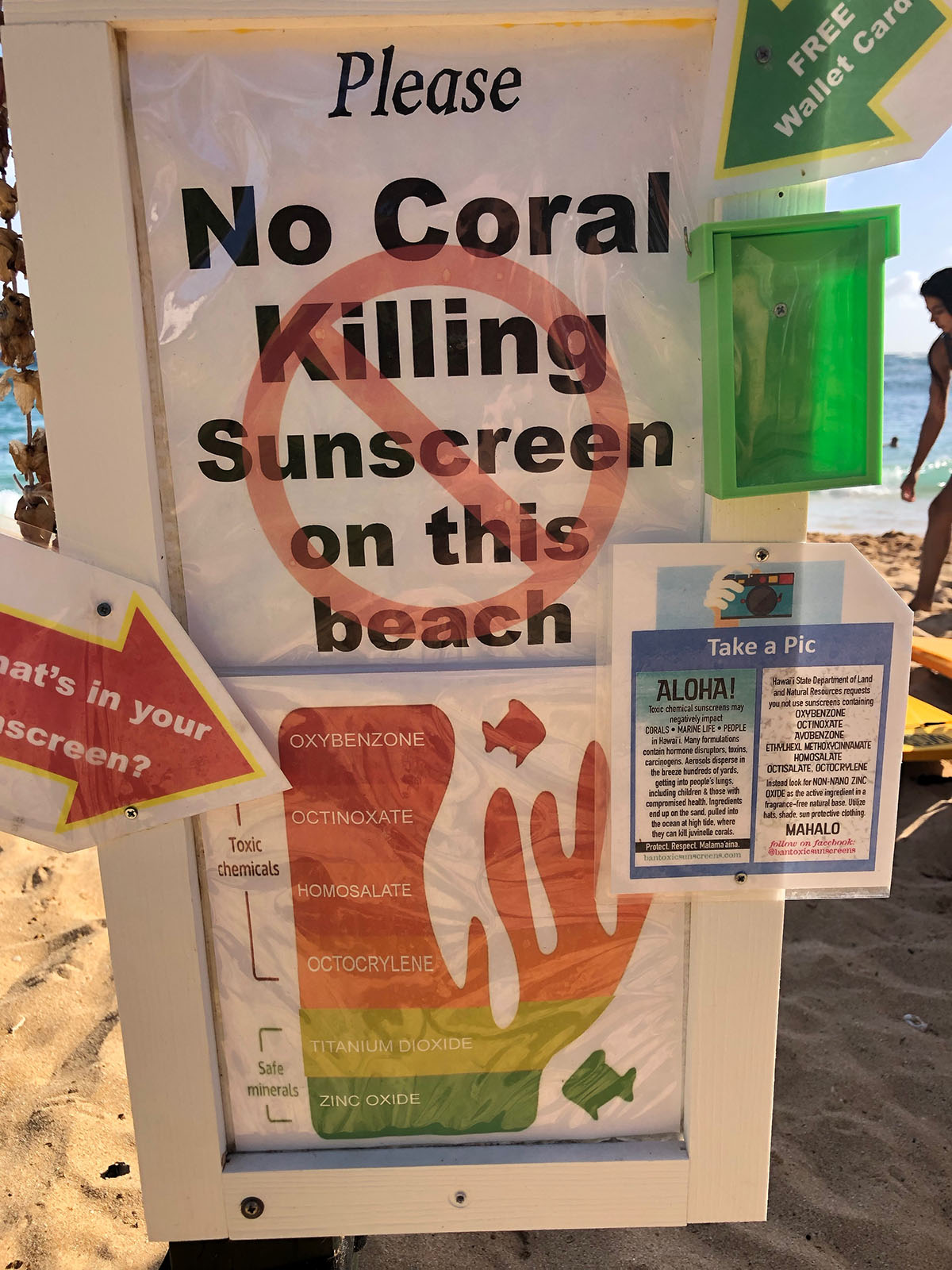 How To Choose A Reef Safe Sunscreen